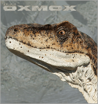 Deinonychus dinosaur, close mouth version dinosaur, life size display, sculpted by Studio Oxmox