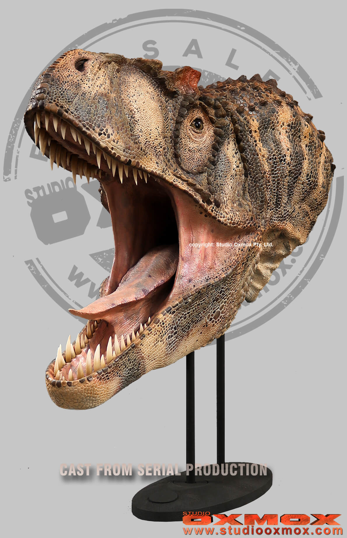 Allosaurus dinosaur oxmox attack