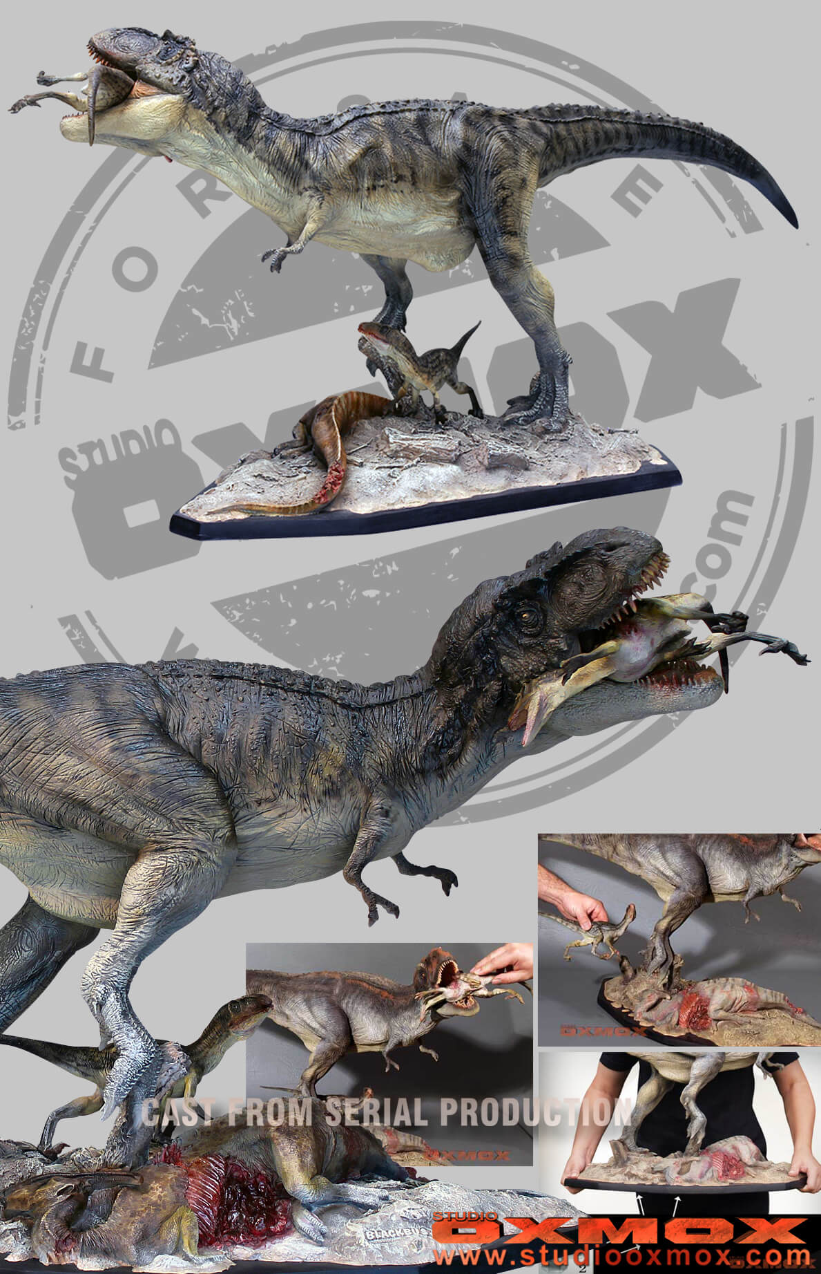 tyrannosaurs rex scale size diorama sculpted by studio oxmox